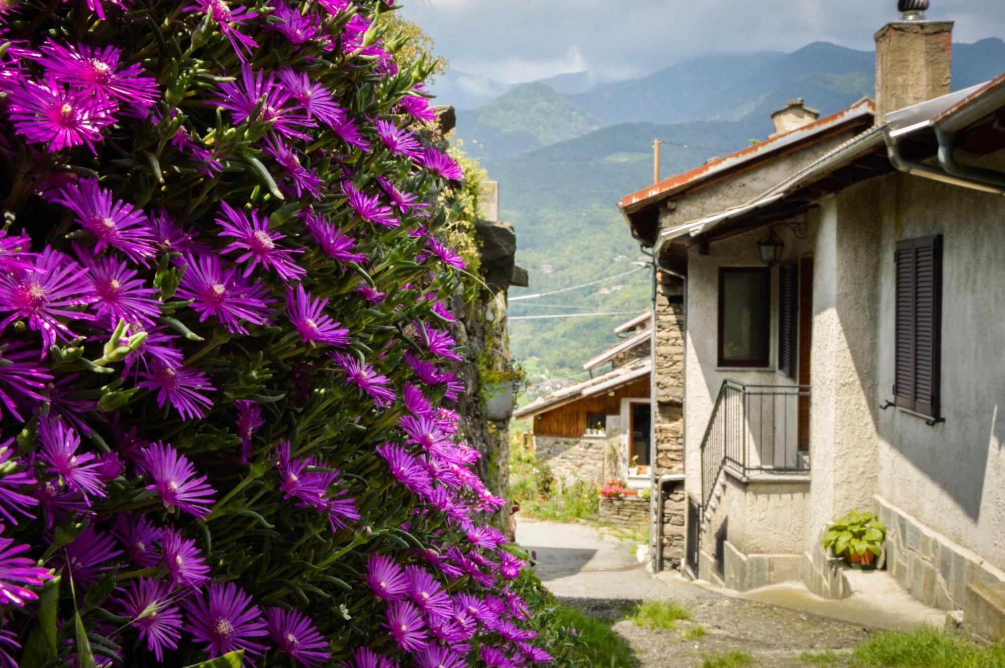 Chalet In Pietra E Legno Con Caminetto Inverso Pinasca Exterior photo